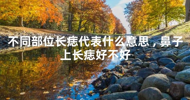 不同部位长痣代表什么意思,鼻子上长痣好不好